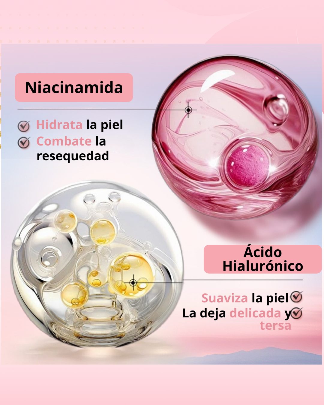 KIT NICOTINAMIDA BIOAQUA 6 PASOS||CAJA DE LUJO